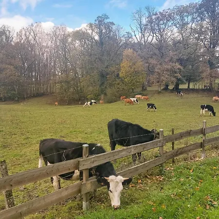 Gorgeous In Besmont With Wi-fi Holiday home *